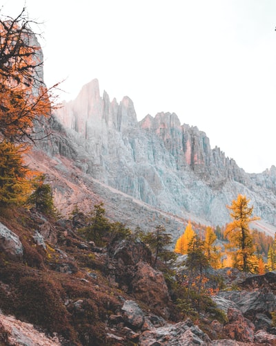 风景摄影的山
